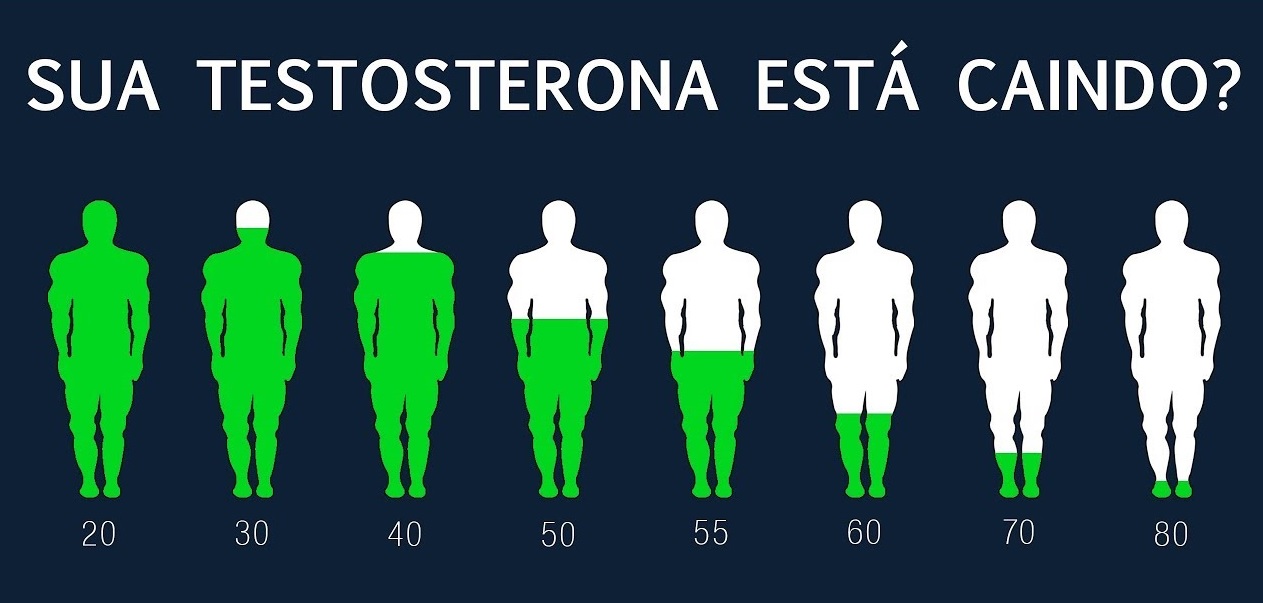 Leia mais sobre o artigo TESTOSTERONA E SUA  SAÚDE