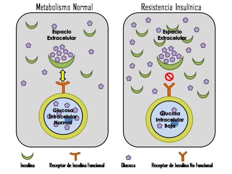 Leia mais sobre o artigo Resistência à Insulina e Doenças Crônicas do Adulto: Desvendando o Maior Inimigo do Envelhecimento bem sucedido